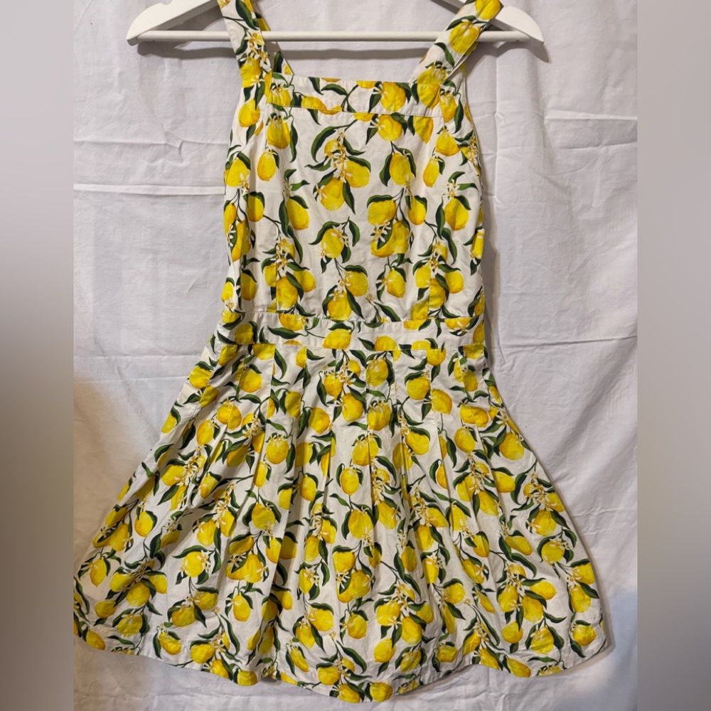 J Crew Lemonade Apron Dress M